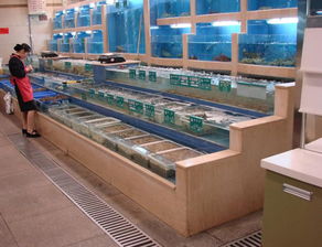 酒店海鲜池2 温州市冰洲制冷设备制造